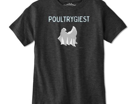 Poultrygiest Youth T-Shirt Online Sale