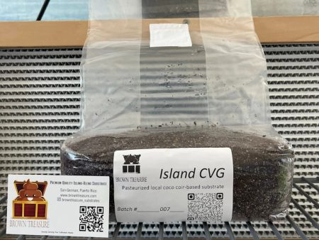 Island CVG (4lb Bag) Sale