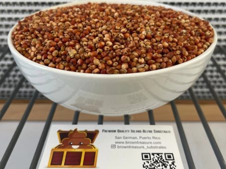 Dry, Red Milo (Grain Sorghum) - 25lbs Fashion