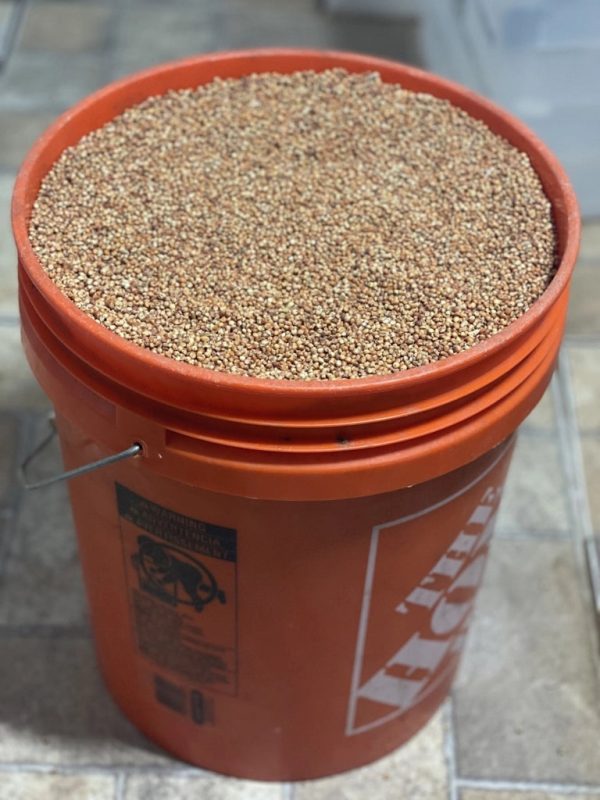 Dry, Red Milo (Grain Sorghum) - 25lbs Fashion