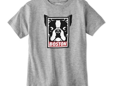 Boston Terrier Frame Youth T-Shirt Discount